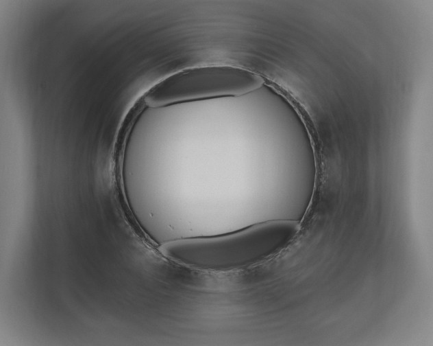 X0000110740928200906221026
