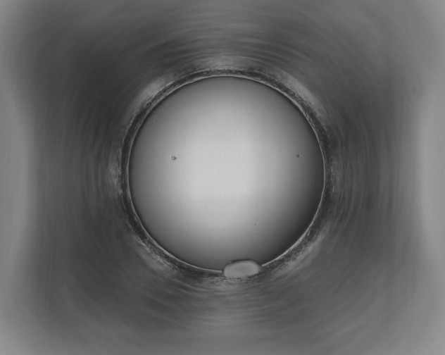 X0000110740930200906221026