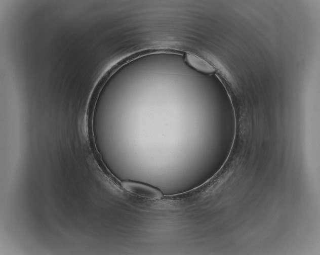 X0000110740932200906221026