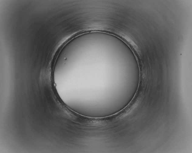 X0000110740933200906221026