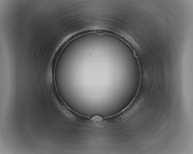 X0000110740934200906221026