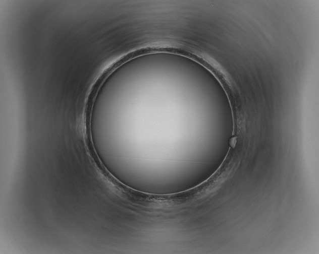 X0000110740935200906221026