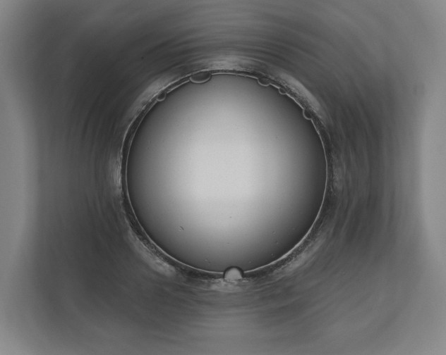 X0000110740938200906221026