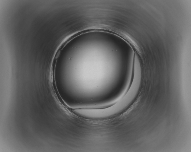 X0000110740940200906221026