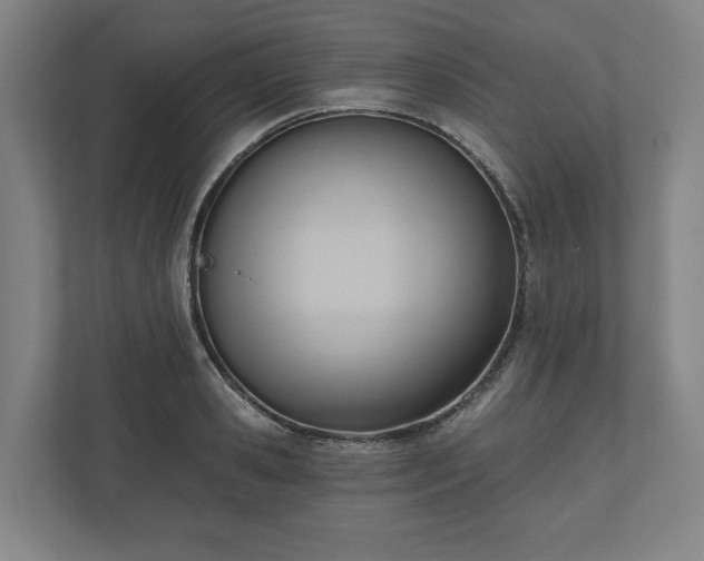 X0000110740941200906221026
