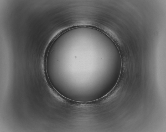 X0000110740942200906221026