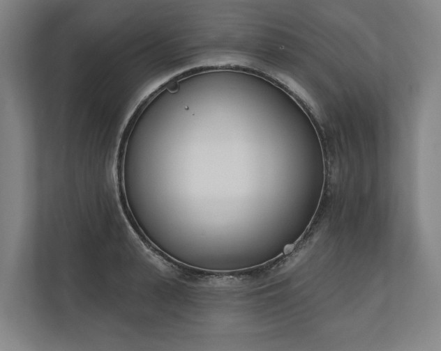 X0000110740943200906221026