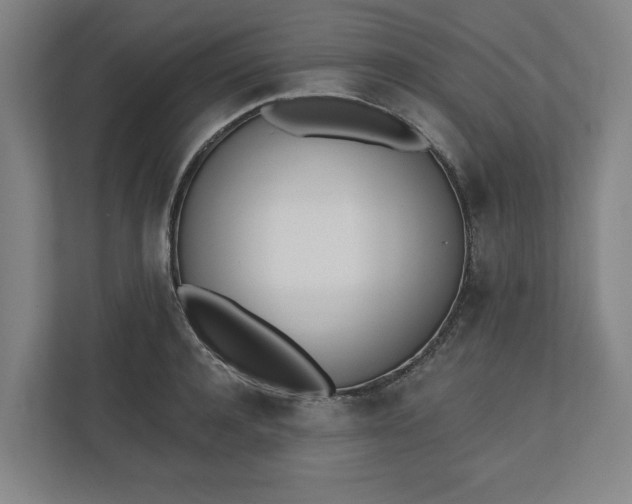 X0000110740944200906221026