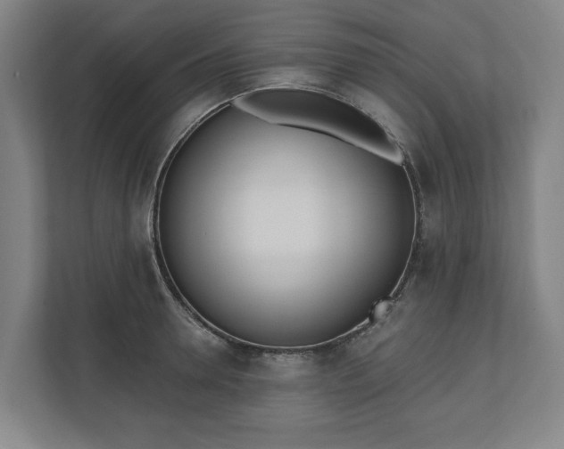 X0000110740946200906221026