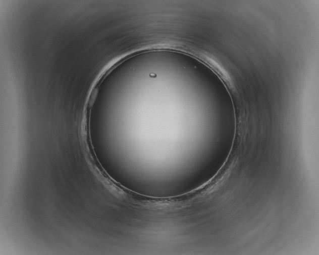 X0000110740948200906221026