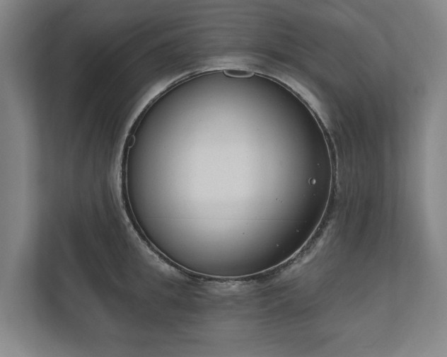X0000110740949200906221026