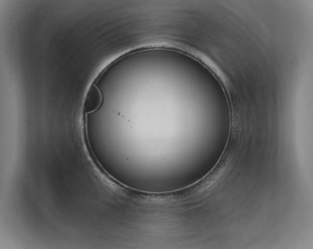 X0000110740951200906221026