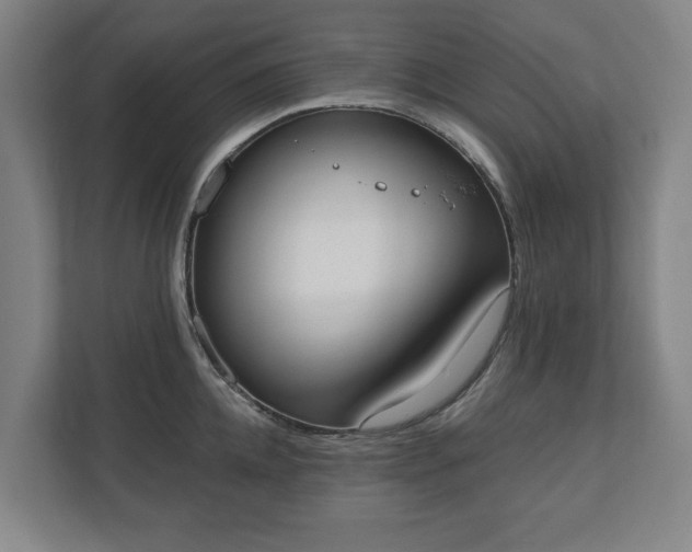 X0000110740952200906221026