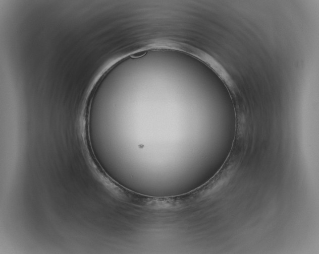 X0000110740955200906221026
