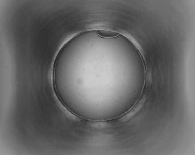 X0000110740957200906221026