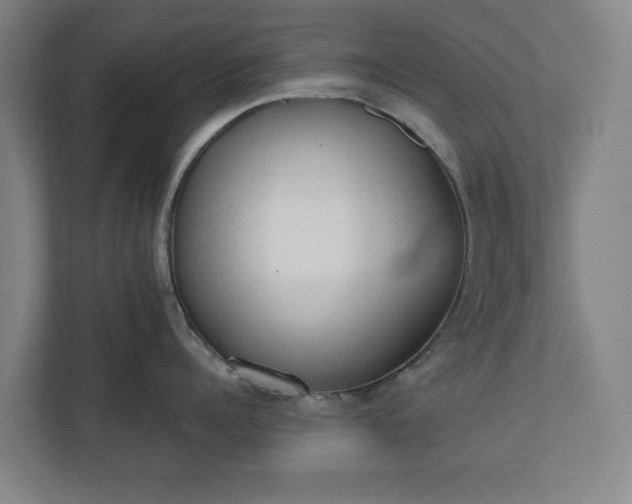 X0000110740960200906221026