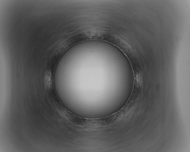 X0000110740963200906221025