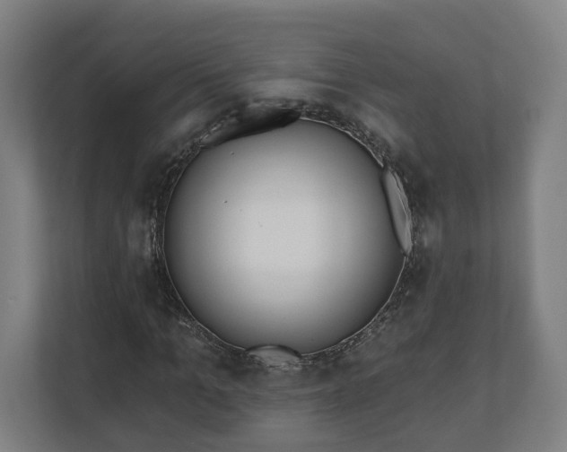 X0000110740965200906221025