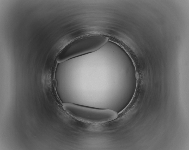 X0000110740969200906221025