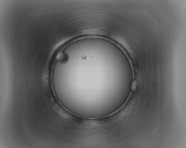 X0000110740971200906221025