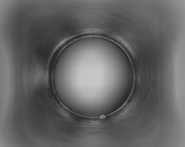 X0000110740975200906221025