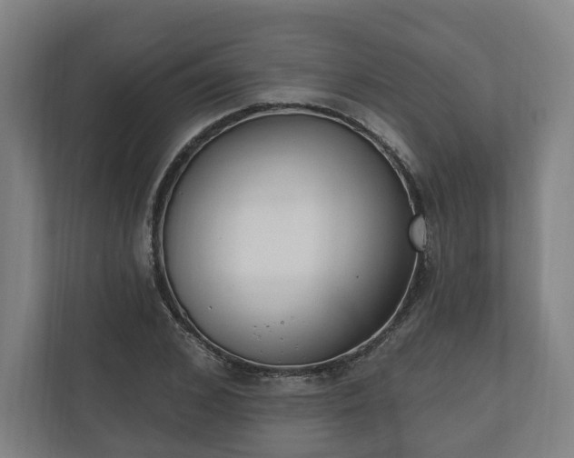 X0000110740976200906221025