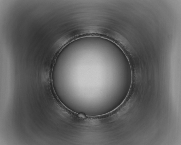 X0000110740977200906221025