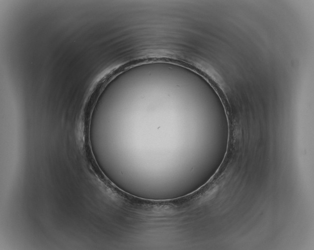 X0000110740979200906221025