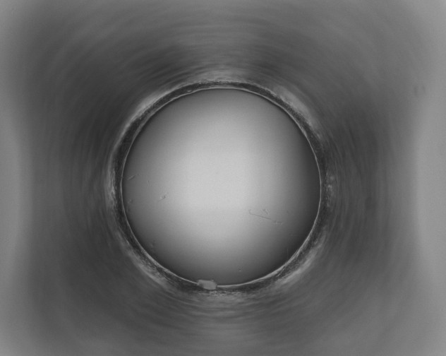 X0000110740981200906221025