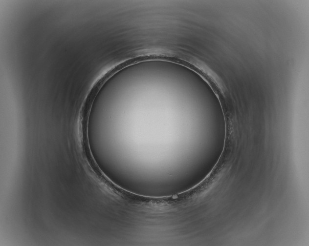 X0000110740983200906221025