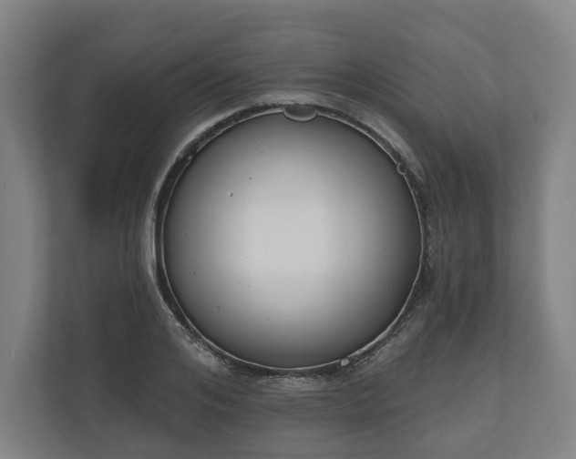 X0000110740984200906221025