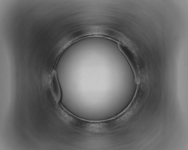 X0000110740985200906221025