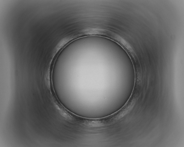 X0000110740986200906221025
