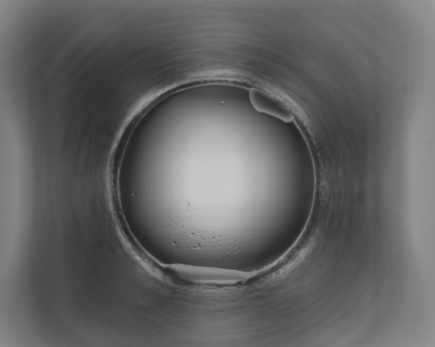 X0000110740989200906221025