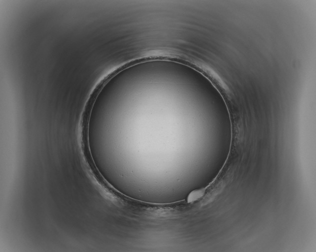 X0000110740991200906221025