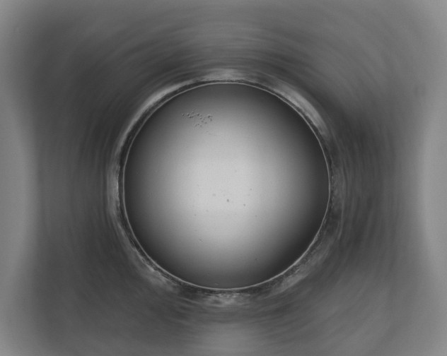 X0000110741000200906221025
