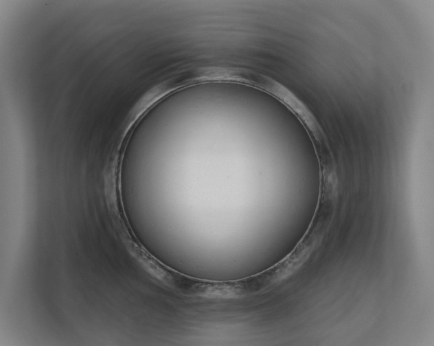 X0000110741002200906221025