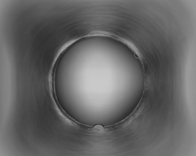 X0000110741003200906221025