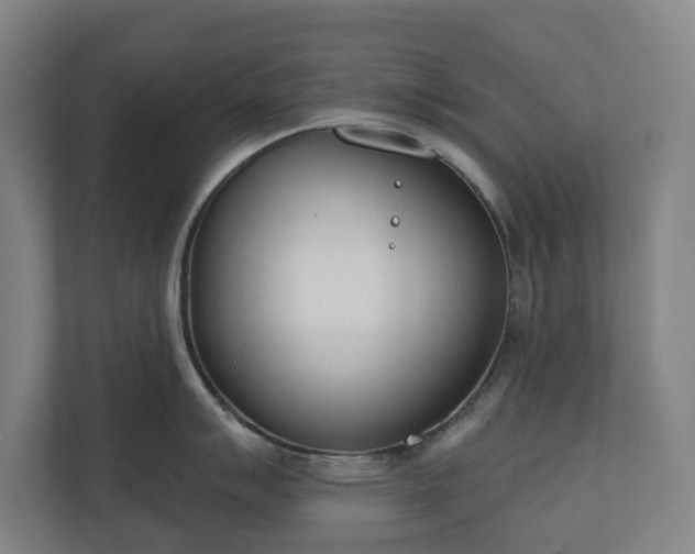 X0000110741007200906221025