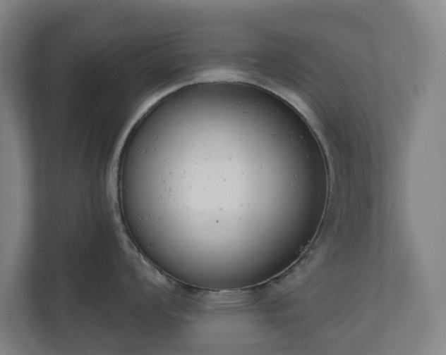 X0000110741008200906221025