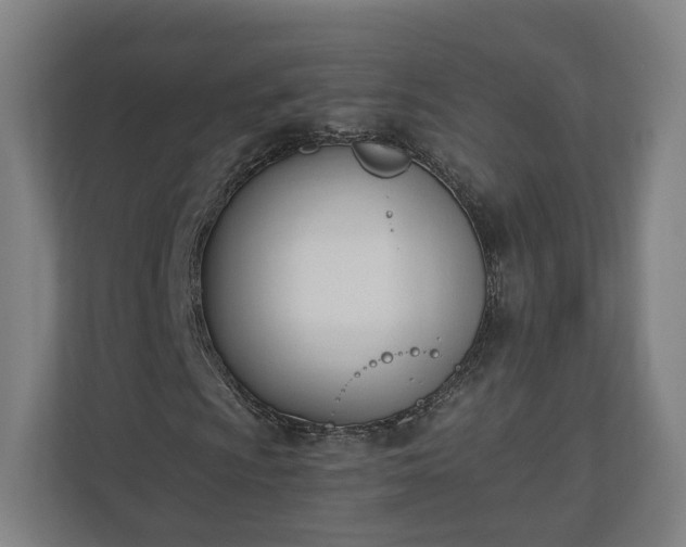 X0000110741009200906221024