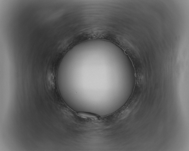 X0000110741010200906221024