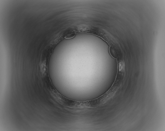 X0000110741011200906221024