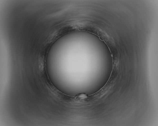 X0000110741012200906221024