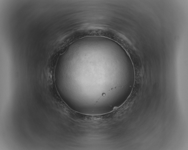 X0000110741013200906221024