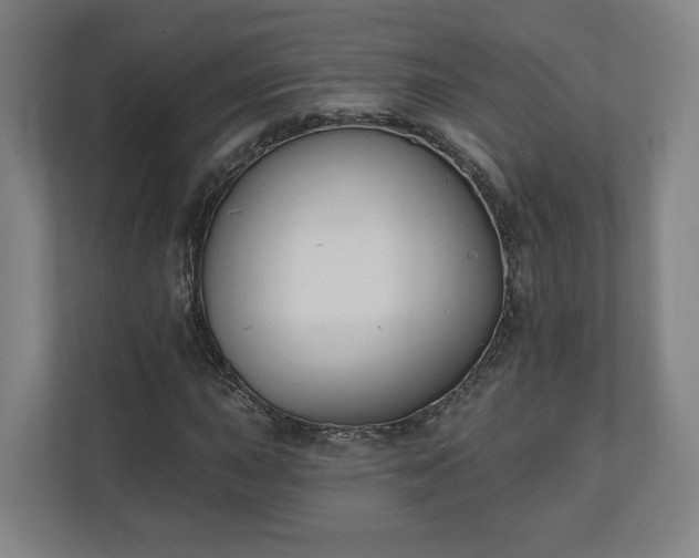 X0000110741015200906221024