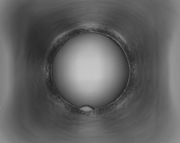 X0000110741016200906221024