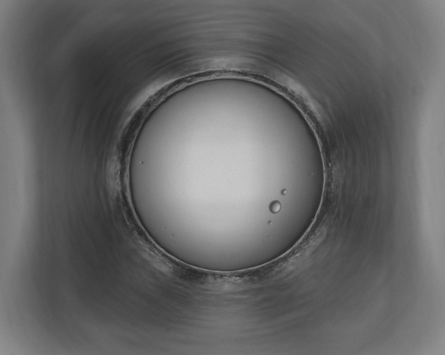 X0000110741019200906221024