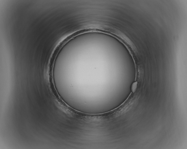 X0000110741020200906221024