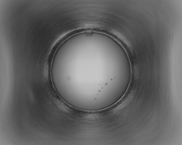 X0000110741021200906221024